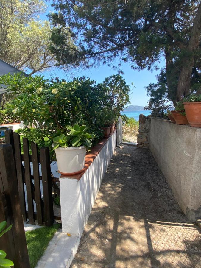 オルビア La Casa Sull'Acquaヴィラ エクステリア 写真